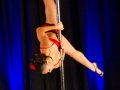 Northeast Aerial Arts Pole Dancing Competition